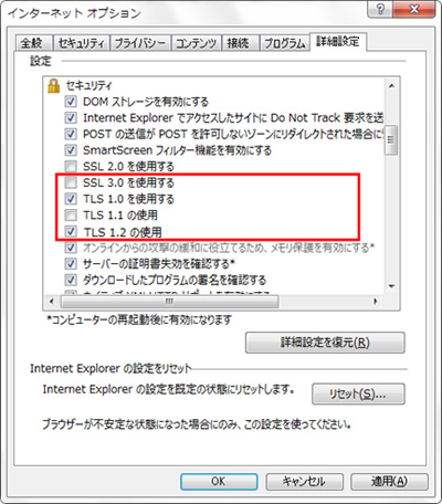Internet Explorer [詳細設定] 画面例