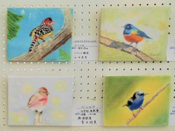 月見支店の色えんぴつ画展の様子