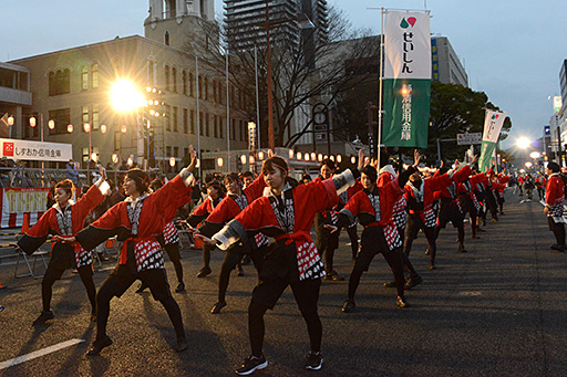 「夜桜乱舞」の様子5