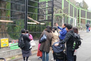 「日本平動物園長と回る！プレミアムツアー」の様子