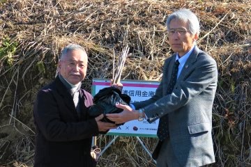 植樹活動の様子