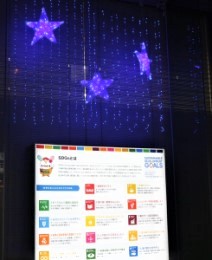 イルミネーションの様子