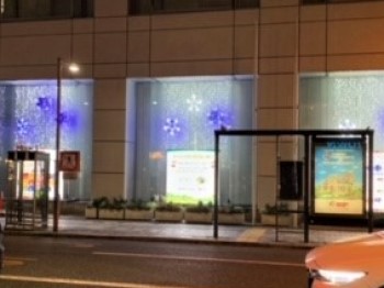 イルミネーションの様子