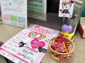 イルミネーションの様子