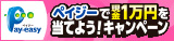 ペイジーキャンペーン