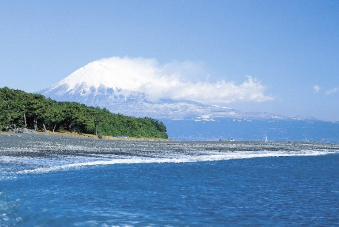 三保の松原より見る富士山
